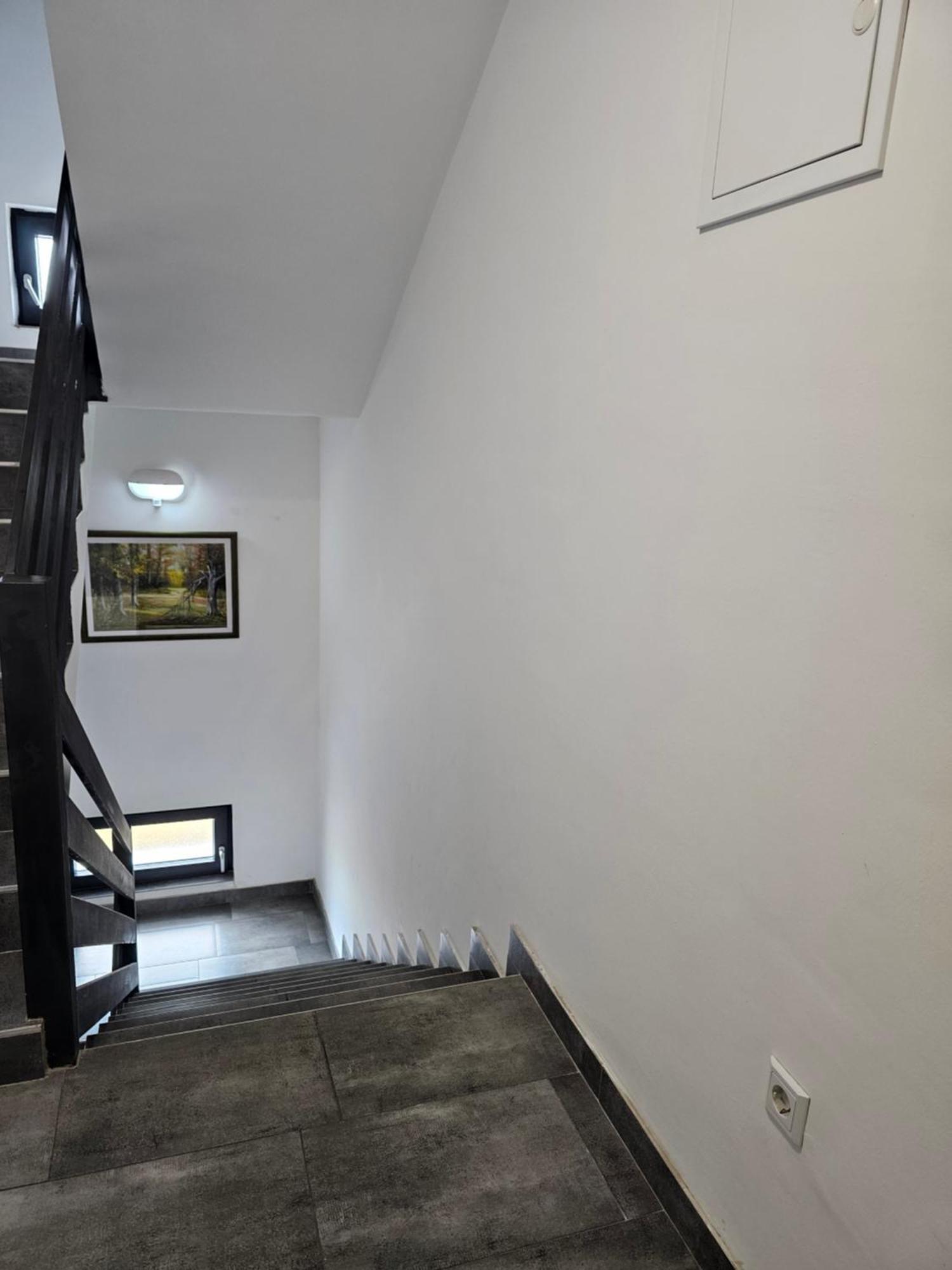 Filipovic Rent A Car & Apartments Selnica Scitarjevska Exterior photo